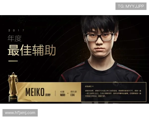 以Meiko辅助视角解析团队协作与战术执行的完美融合