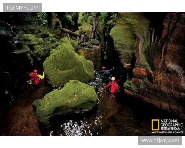 科学极限运动训练方法探秘与实践指南 科学极限运动训练方法探秘与实践指南