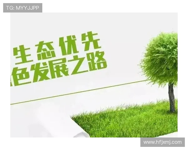 重庆排球队运营革新探索：从传统模式到现代管理的转型之路